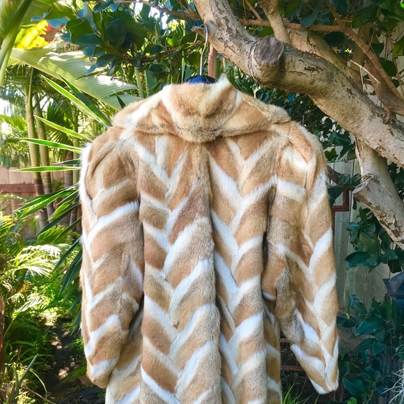 Cute ShortHair Fox Fur Jacket Wide UpperArms - Picture 8 of 11